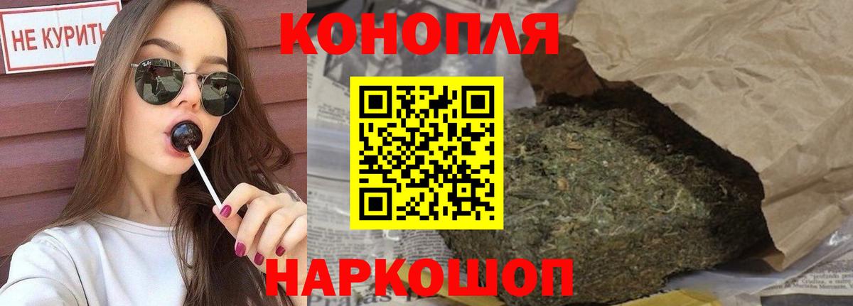Бошки Шишки конопля Сунжа