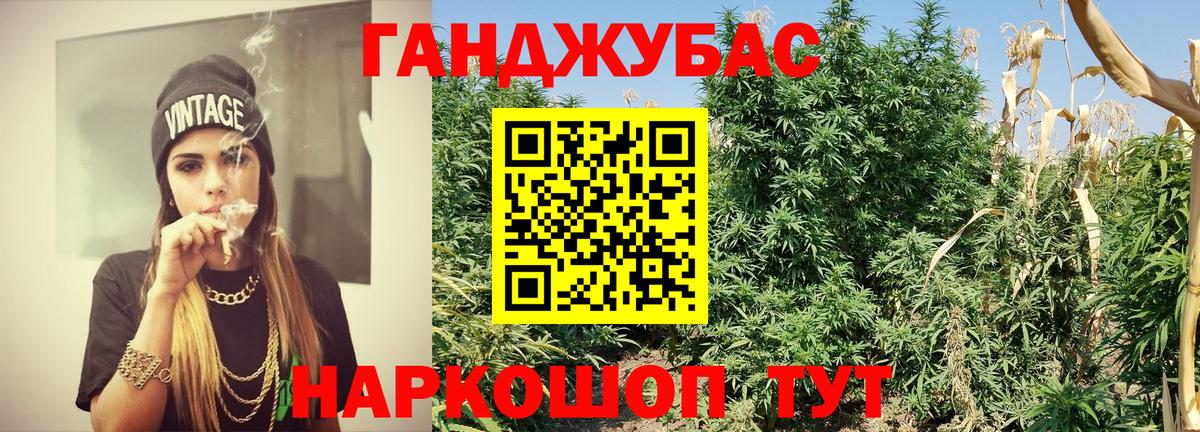 Шишки марихуана сатива  Вход с VPN  Шишки марихуана LSD WEED  Сунжа  МАРИХУАНА индика 